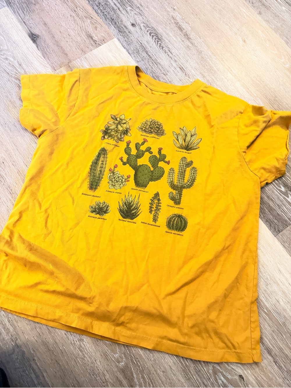 Yellow Cactus Print T-Shirt